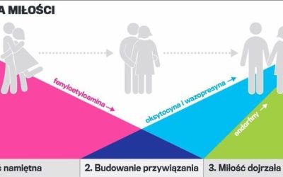 3 etapy, przez które przechodzą pary